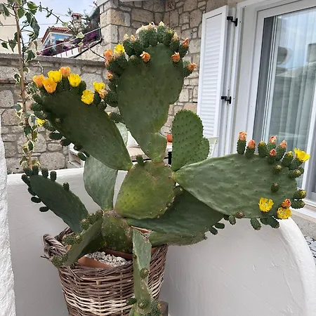 Selin Bed & Breakfast 3*